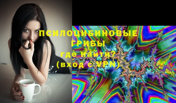 молекула духа Абинск