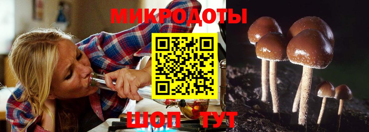 Псилоцибиновые грибы мицелий Каменск-Шахтинский