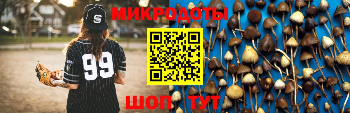 Каменск-Шахтинский  Псилоцибиновые грибы мухоморы  Вход с VPN 